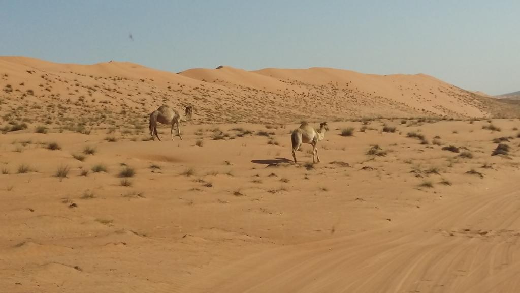 Silent Dunes Camp Ḩawīyah Exterior foto